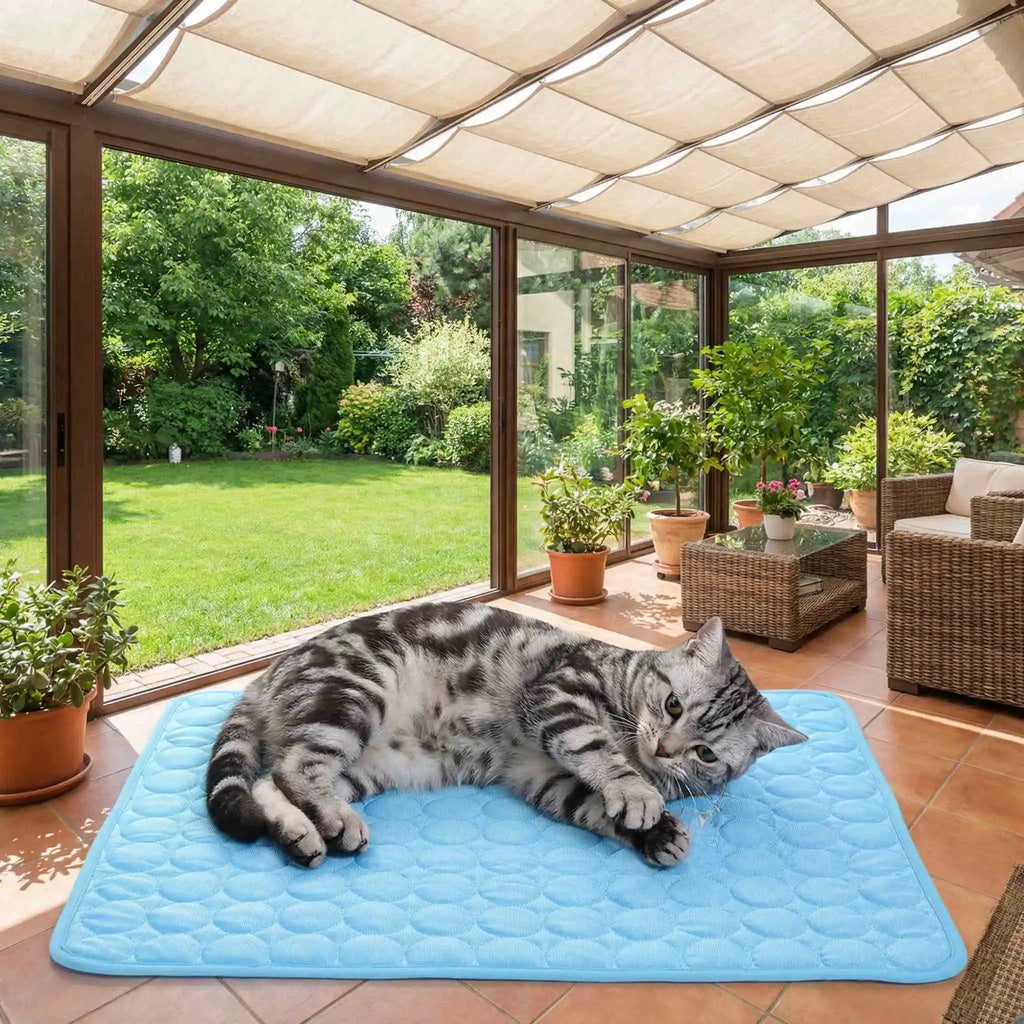 Dog Cooling Ice Bed Mat Pet Summer Bed Cat Cold Bed Extra for All Size Puppy Supplies Pet Accessories Cat Washable Sofa Blanket