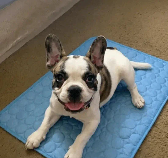 ArcticPaw Chill Mat