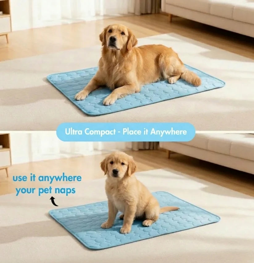 ArcticPaw Chill Mat