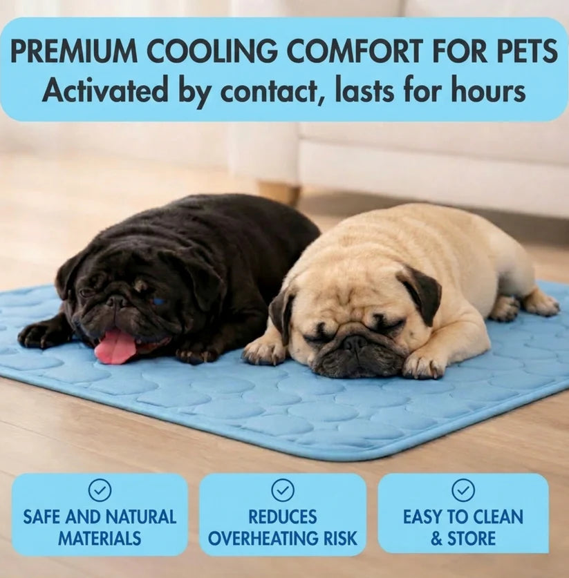 ArcticPaw Chill Mat